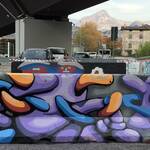 Immagine: IMG_0403