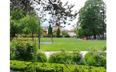 Immagine: IMG_20220504_123252 (1)