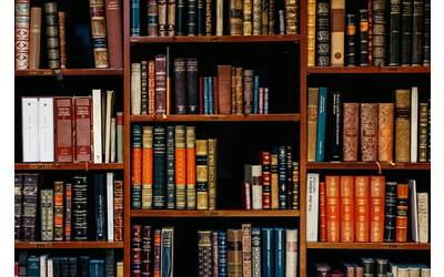 Immagine: inaki-del-olmo-NIJuEQw0RKg-unsplash