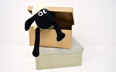 Immagine: la scatola delle storie delle emmozioni