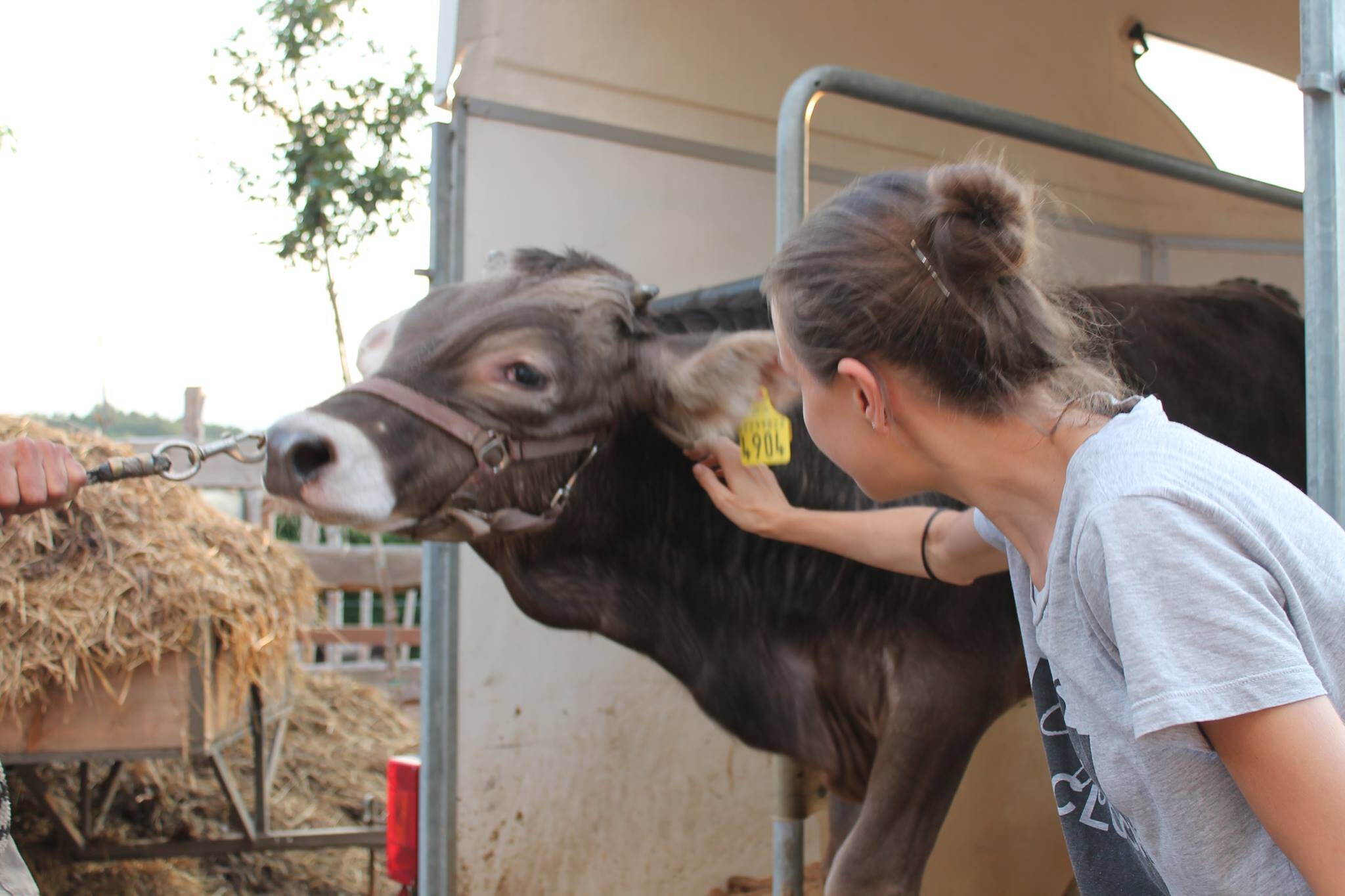 Immagine: LAV Trentino