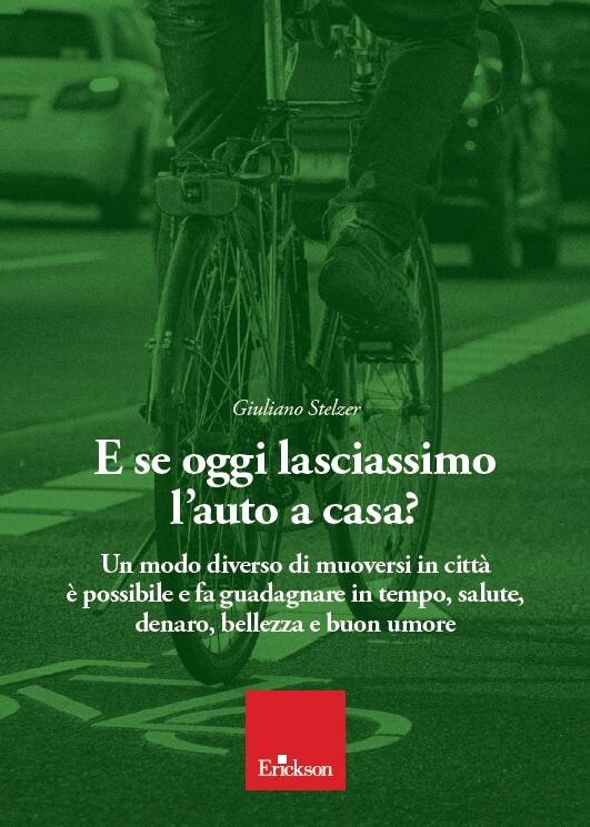 Immagine: libro stelzer