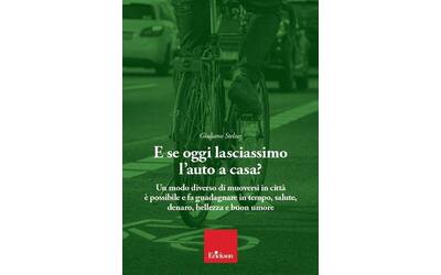 Immagine: libro stelzer