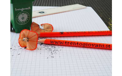 Immagine: "lungo la strada che porta a scuola impariamo per la vita" H. Boll