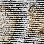 Immagine: Margherita Mendini (1)