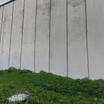 Immagine: Muro palestra Bocchi