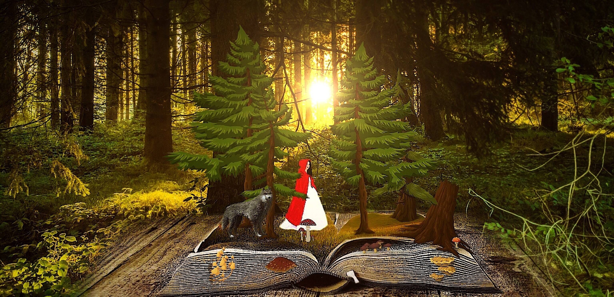 Immagine: Nel mezzo di una fiaba - Biblioteca Ravina