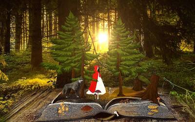 Immagine: Nel mezzo di una fiaba - Biblioteca Ravina