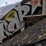 Immagine: New-Jersey