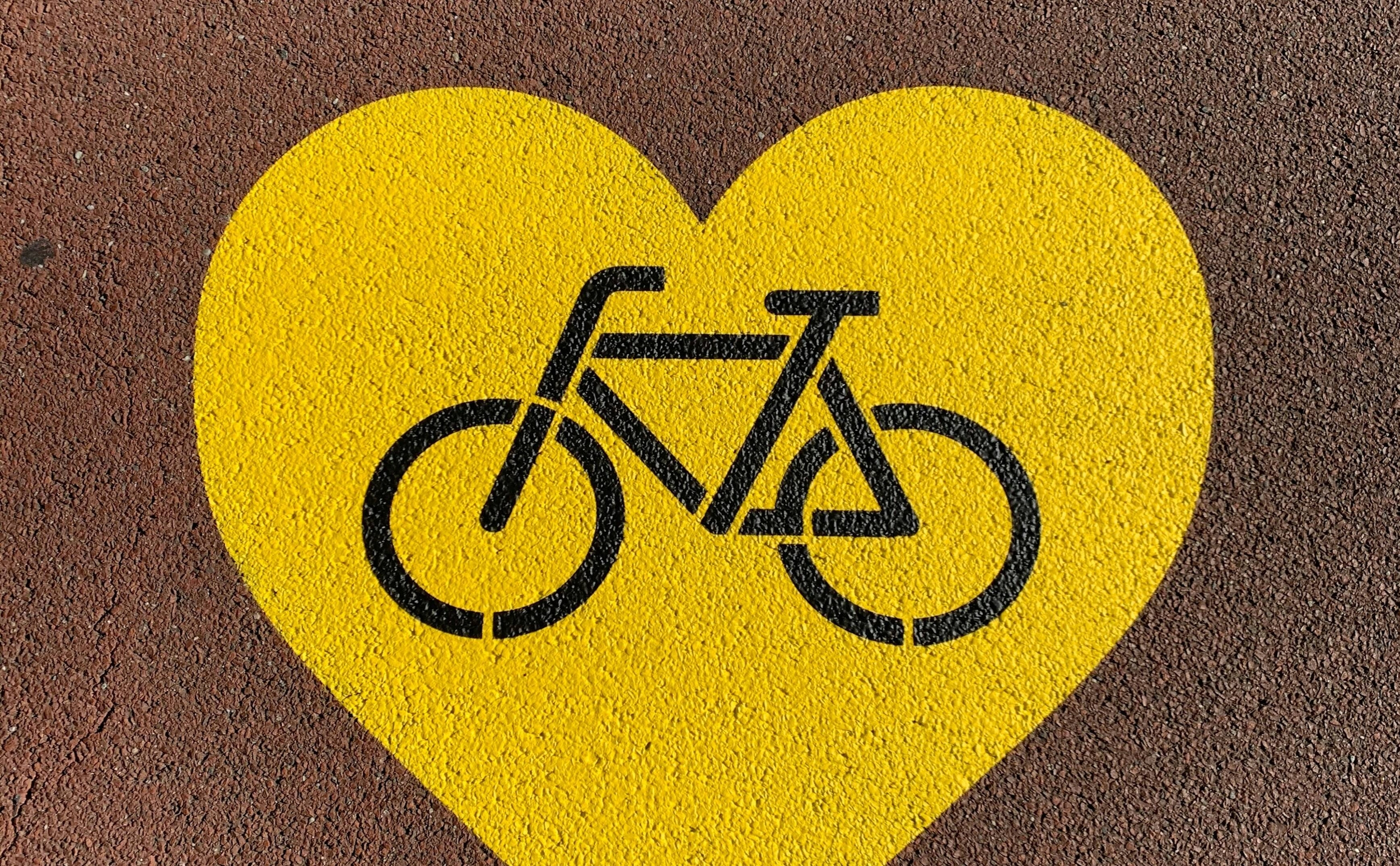 Immagine: nuno-ricardo-ANICzUXPSCk-unsplash