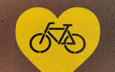 Immagine: nuno-ricardo-ANICzUXPSCk-unsplash