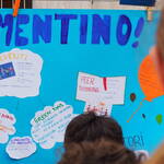 Immagine: P5093084 (1)