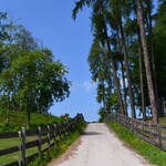 Immagine: Parco Candriai_1