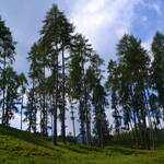 Immagine: Parco Candriai_2