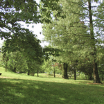 Immagine: Parco delle Coste 3
