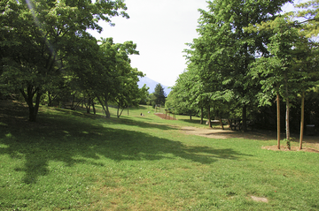 Parco delle Coste