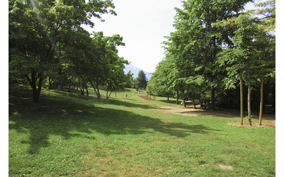 Immagine: Parco delle Coste