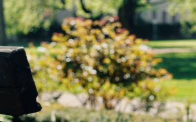 Immagine: Parco Ex Santa Chiara