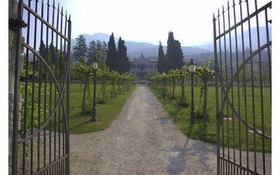 Immagine: parco villa de mersi 