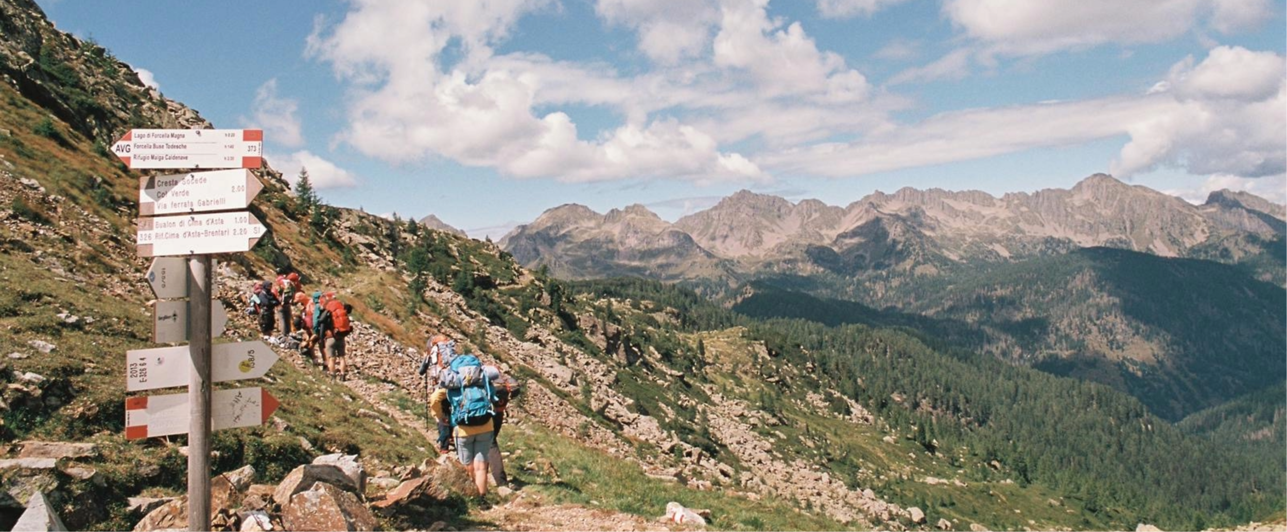 Immagine: PGZ 26 Echo Roots