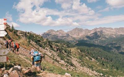 Immagine: PGZ 26 Echo Roots