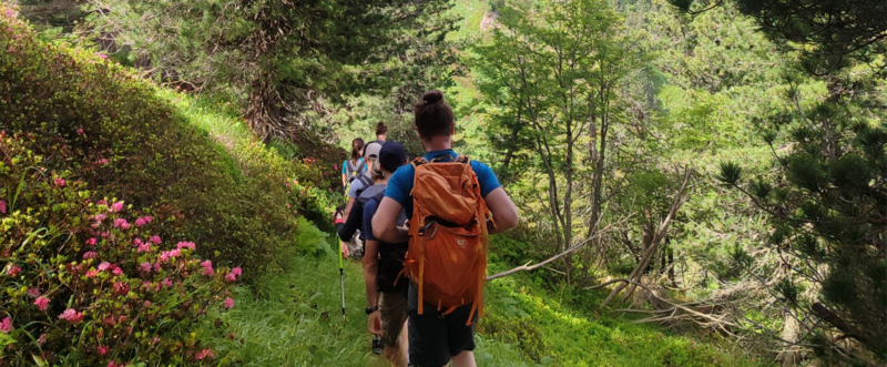 Into the wild: water edition | PGZ 2025