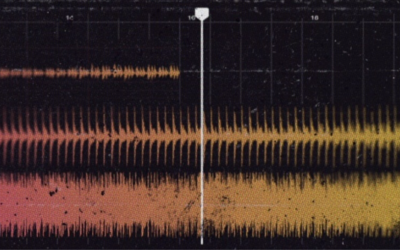 Immagine: PGZ Music 4 Soul