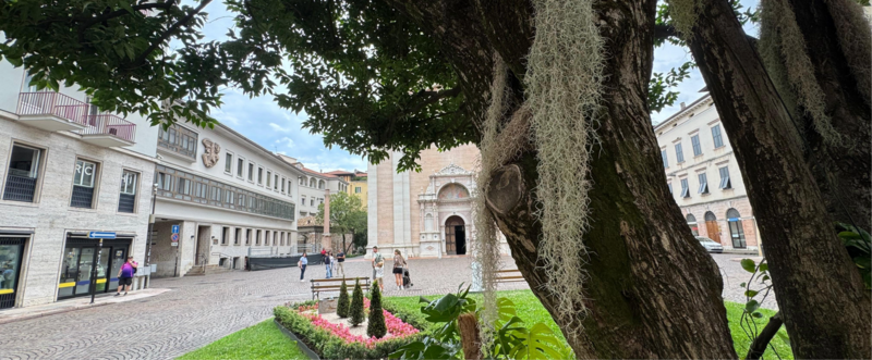 Veduta di Piazza Santa Maria vista dall'aiuola con l'albero in primo piano