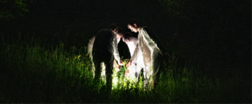 due persone in un prato illuminate da una luce nella notte