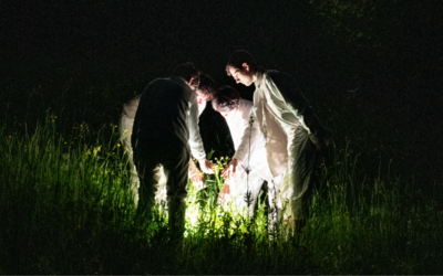due persone in un prato illuminate da una luce nella notte