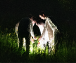 due persone in un prato illuminate da una luce nella notte