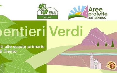 Immagine: Sentieri Verdi