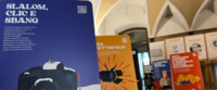 alcuni cartelloni della mostra 