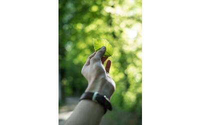 Immagine: Sostenibilità