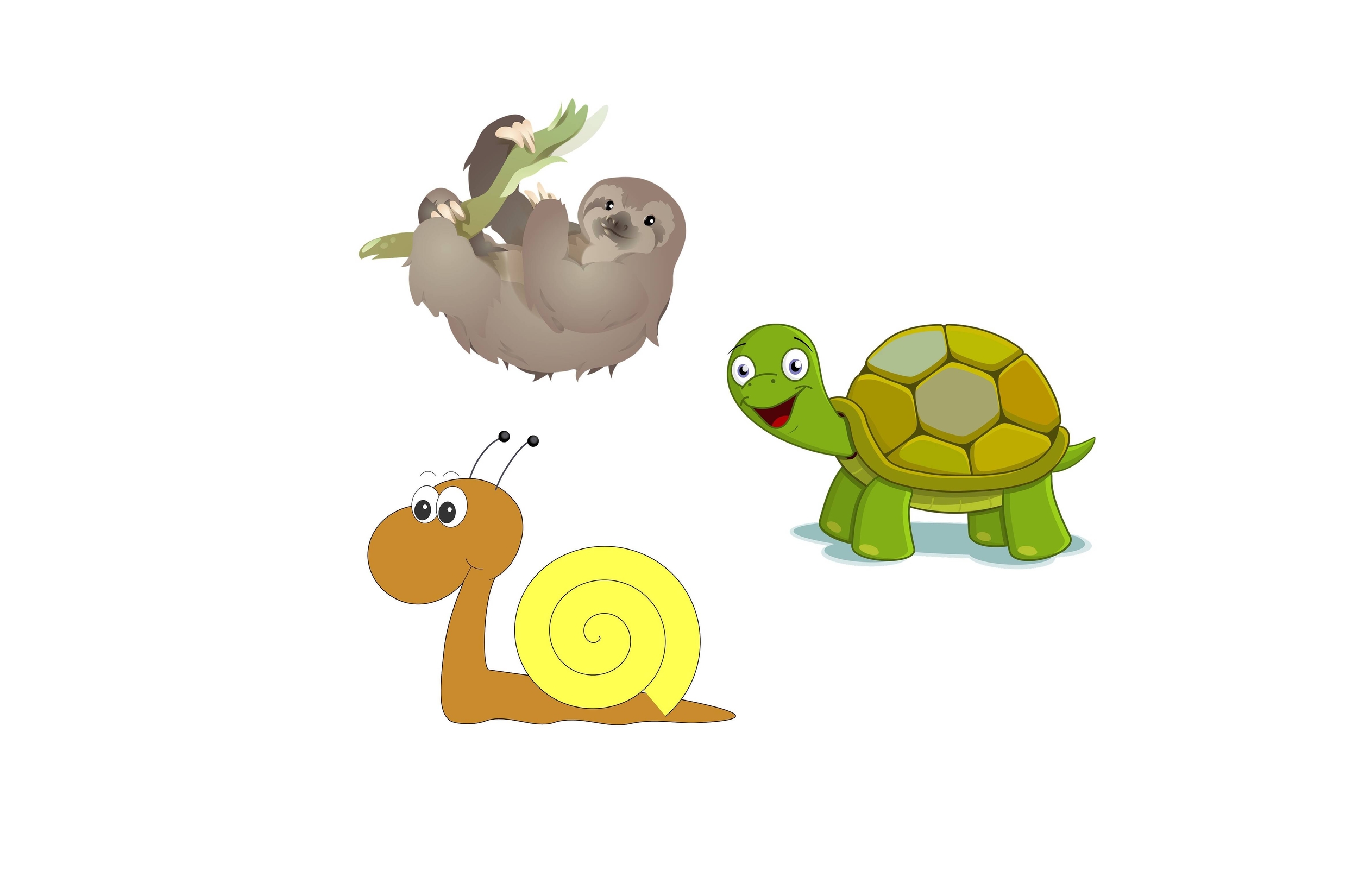 Immagine: Storie di animali che non hanno fretta