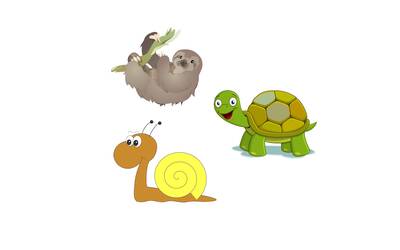 Immagine: Storie di animali che non hanno fretta