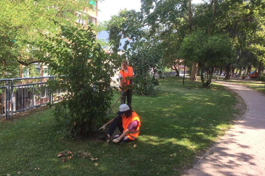 Immagine: summer-jobs-1