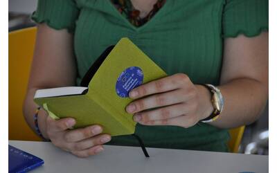 Immagine: Summer School