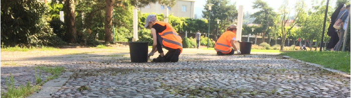 Immagine: summerjobs3