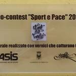 Immagine: Targa concorso