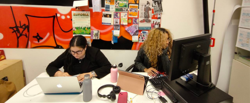 Immagine: Tirocini post-laurea