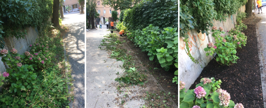 Immagine: tutor-summer-job