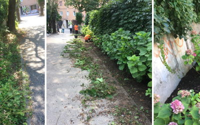 Immagine: tutor-summer-job