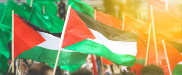 bandiere palestinesi