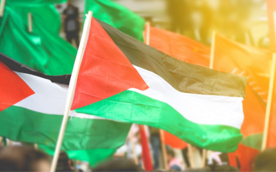 bandiere palestinesi